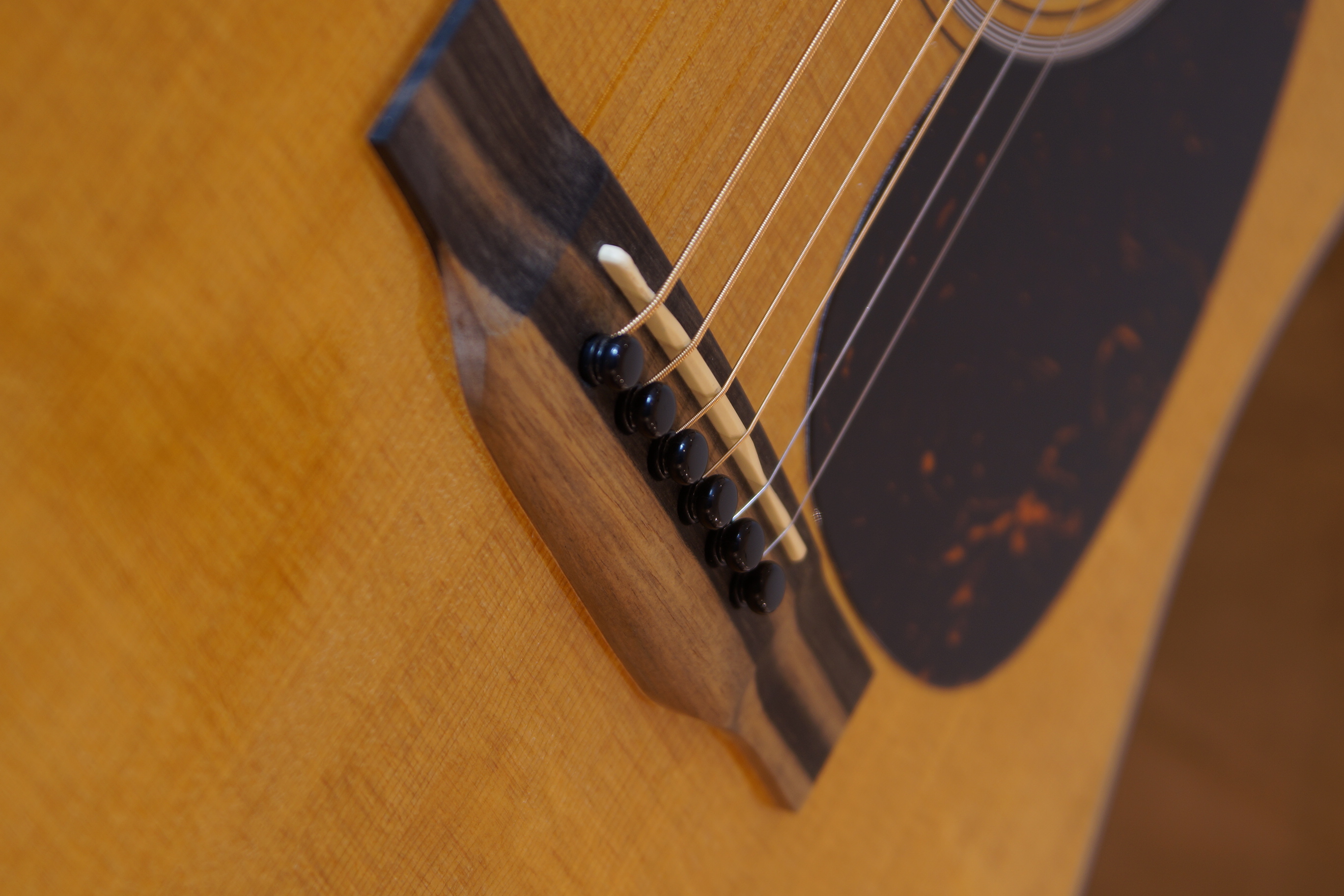 Martin DE Retro Plus Mahogany