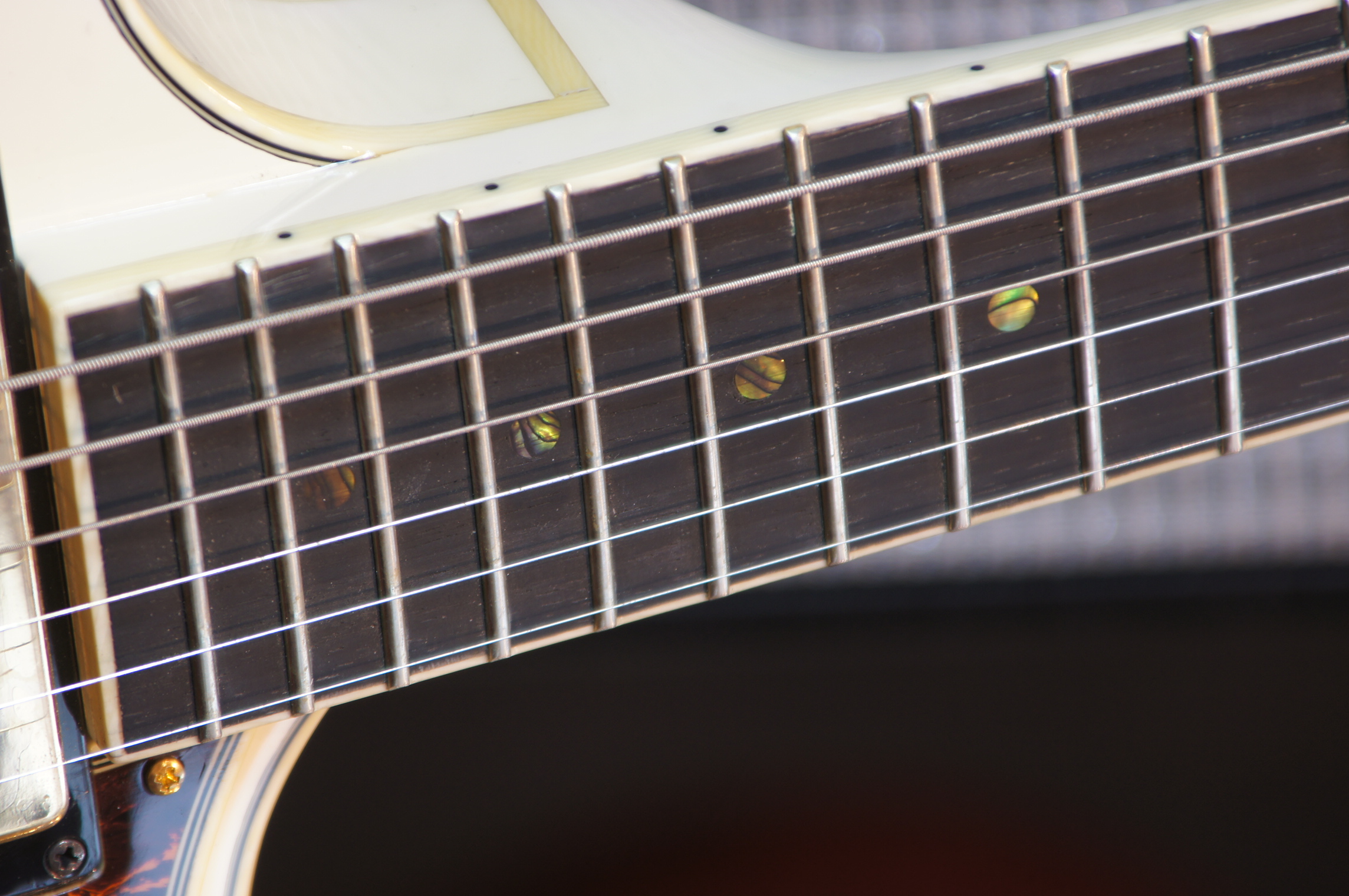 IBANEZ Artcore Expressionist AM Hollowbody Gitarre 6-String - Ivory