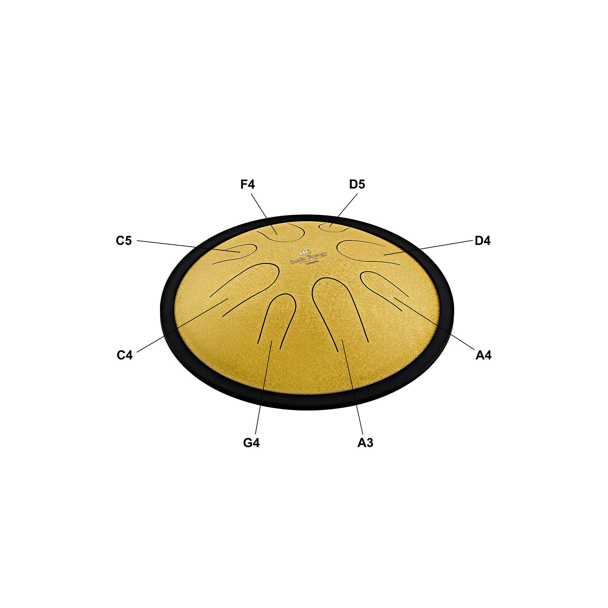 MEINL Sonic Energy 10" Compact Steel Tongue Drum, D Moll, 8 Notes, 432 Hz, Gold