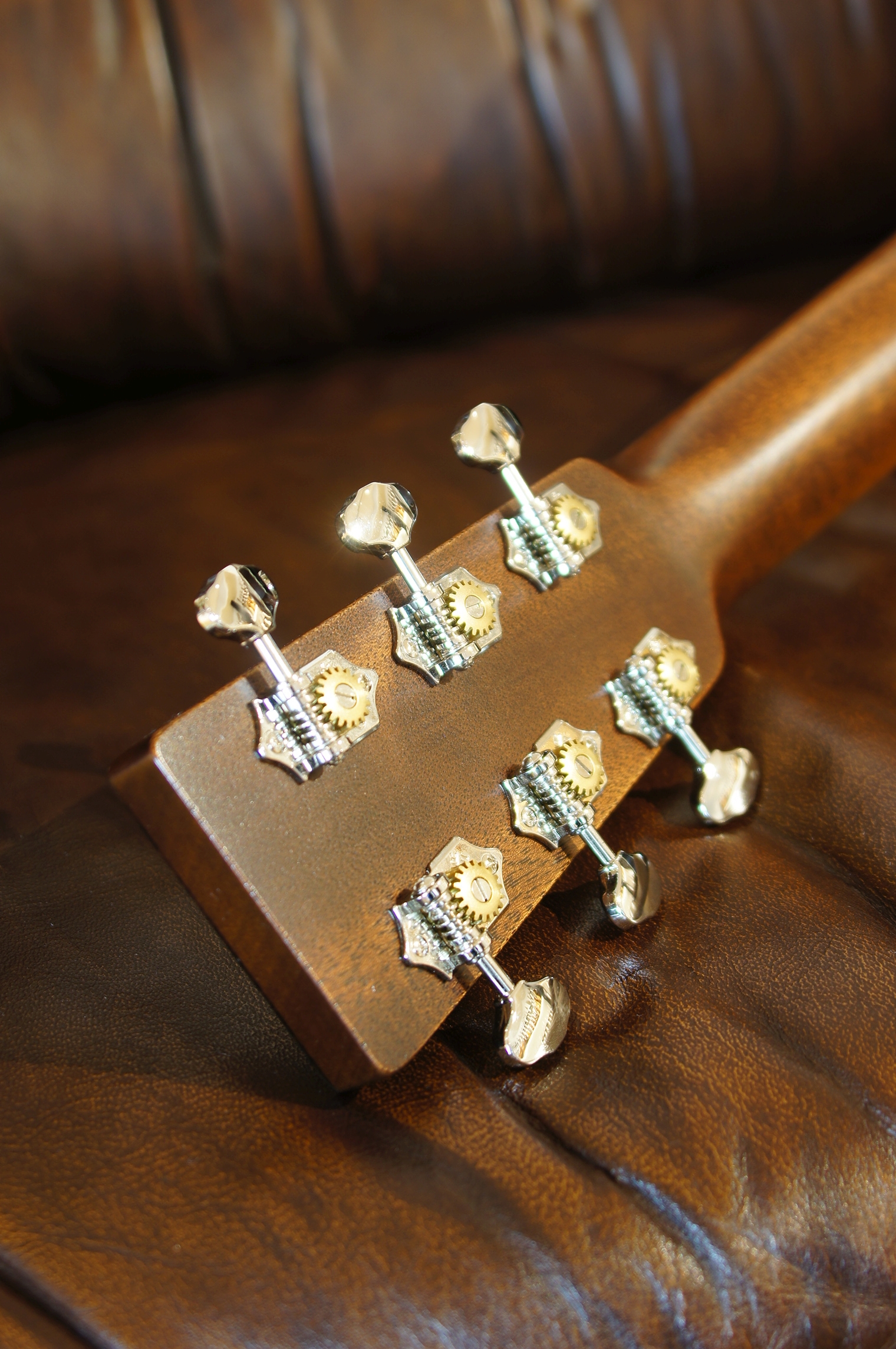 Martin GPC-16E-01 Rosewood