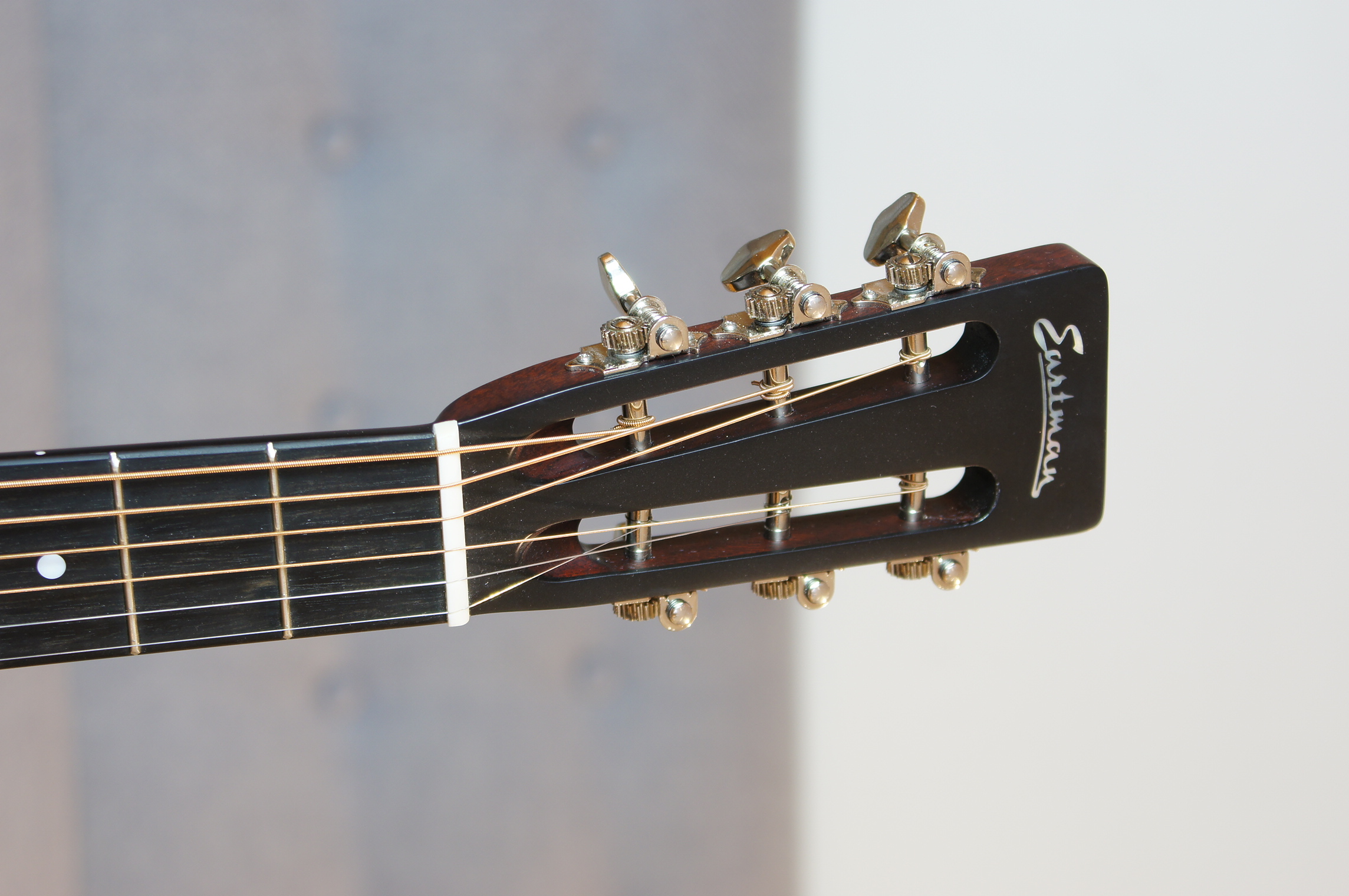 Eastman E10P-SB Parlor Sunburst