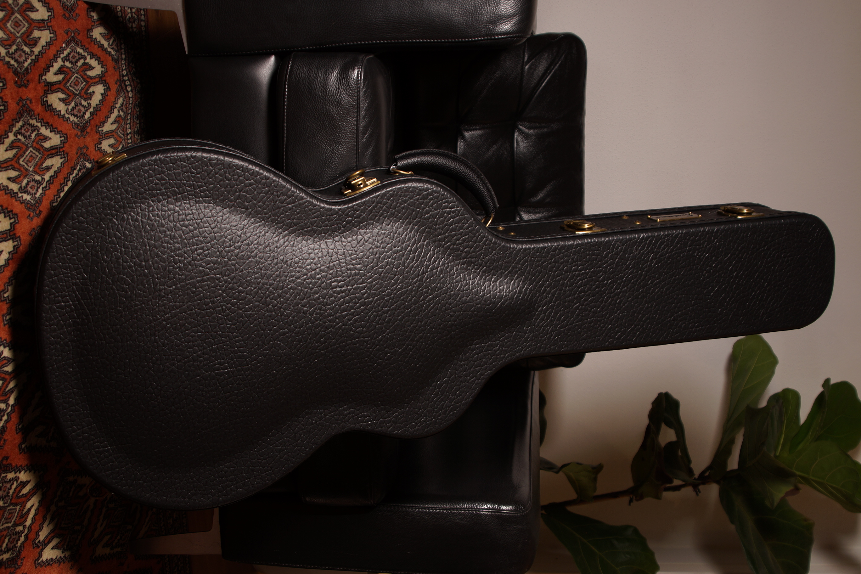 Eastman AC322CE mit Tonabnehmer und Koffer