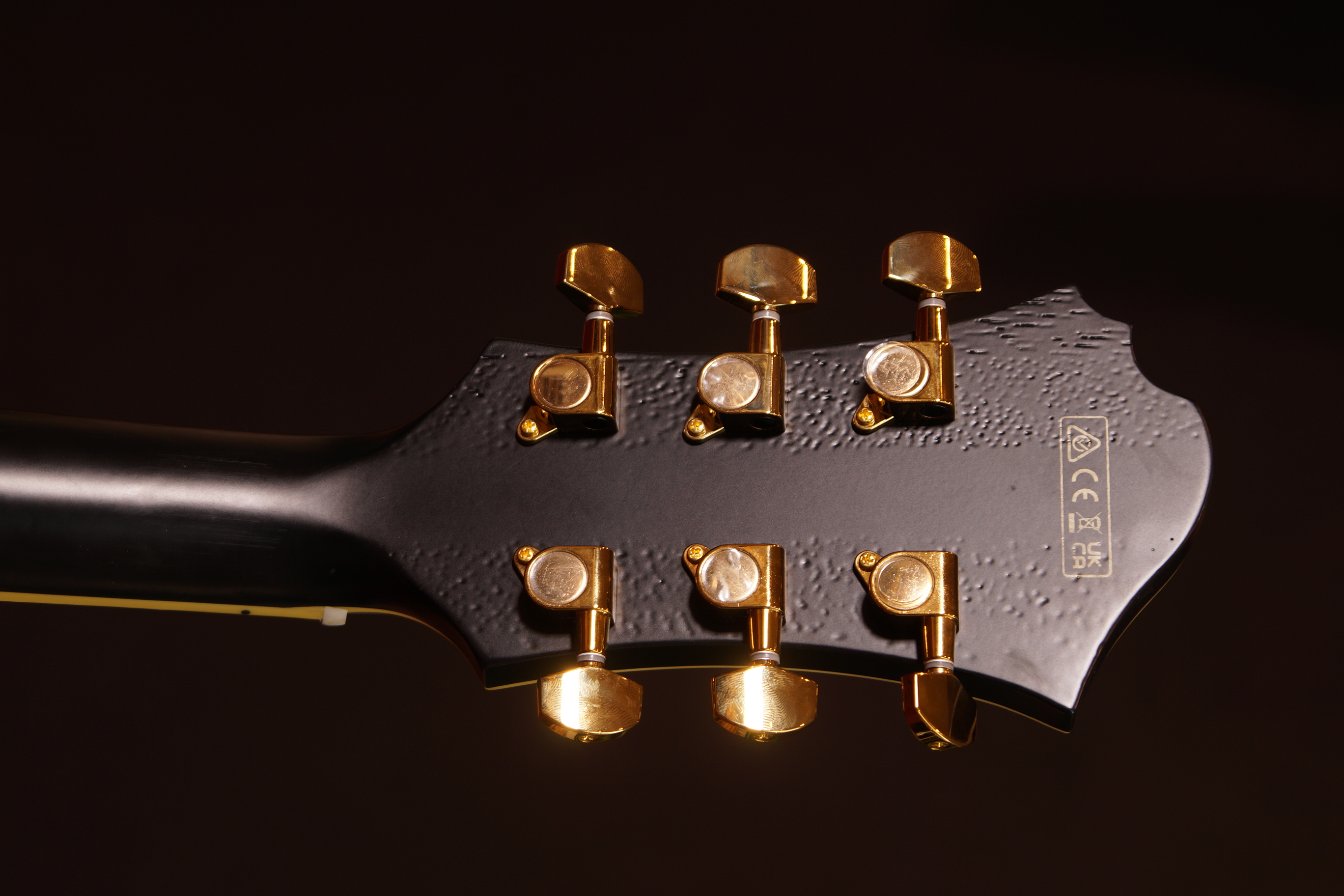 IBANEZ Pat Metheny Signature Black Low Gloss + Koffer, B-Stock