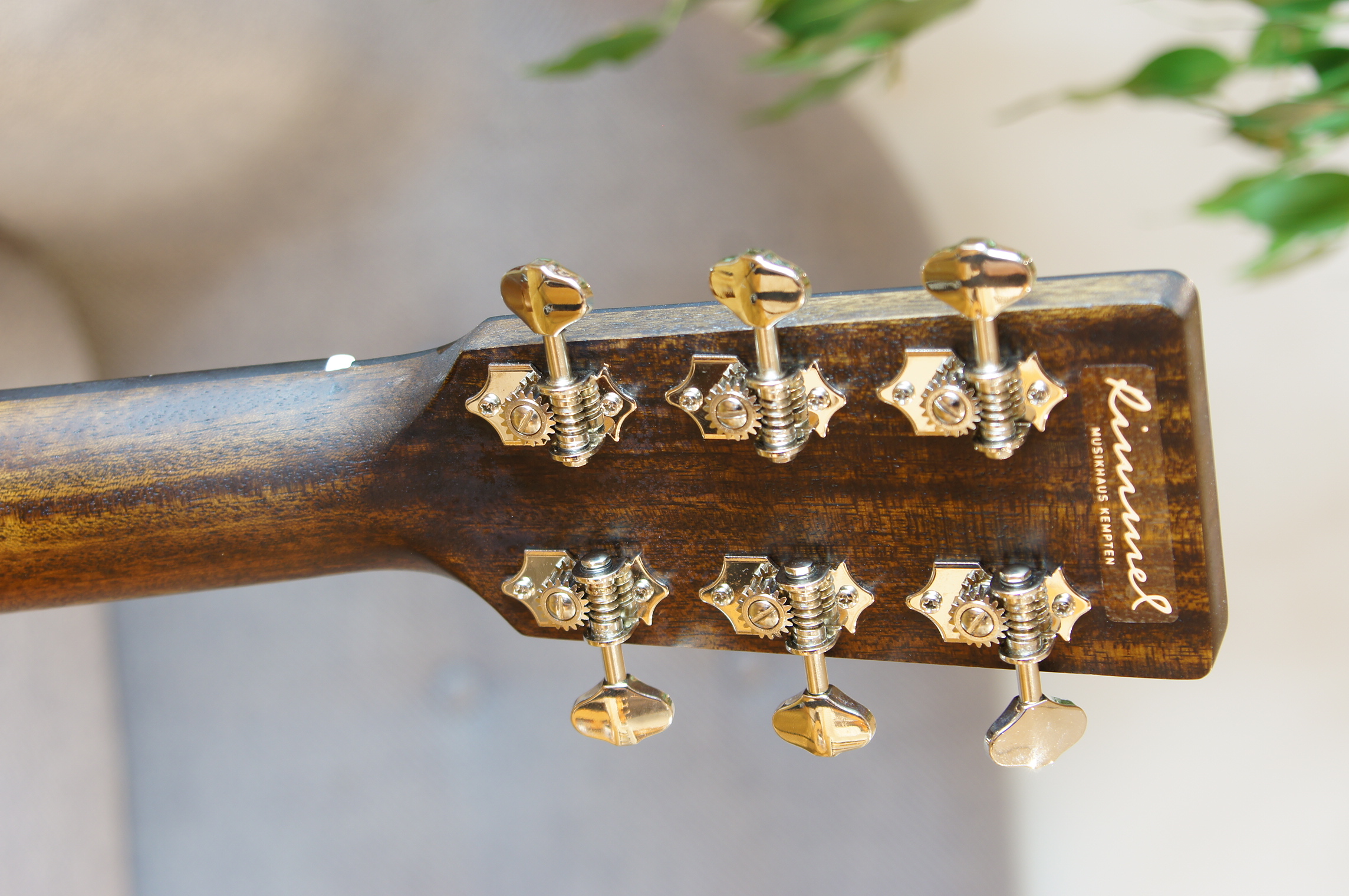 Eastman E3OME mit Tonabnehmer inklusive Gigbag