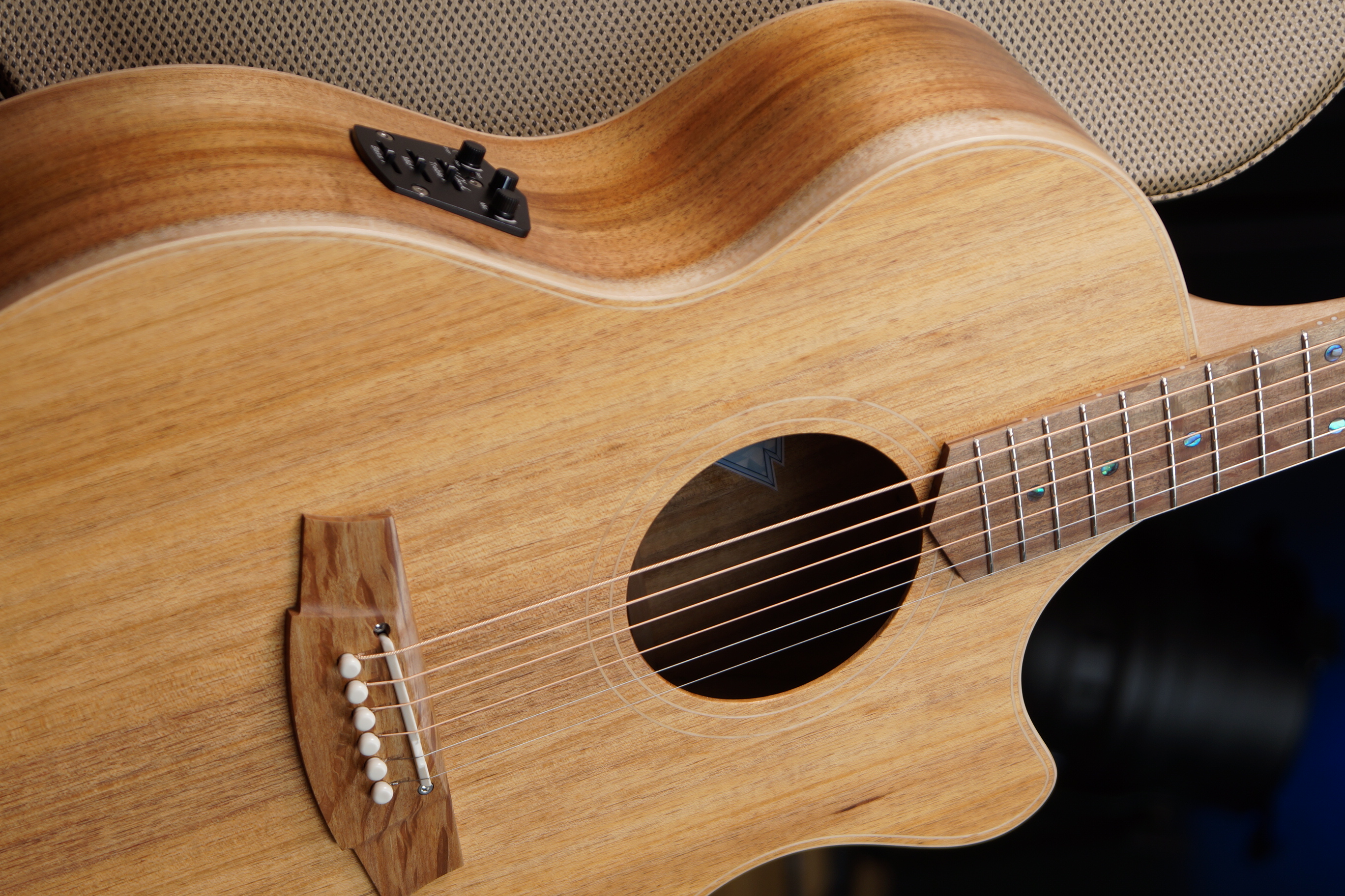 Cole Clark GA - AN2EC-BLBL