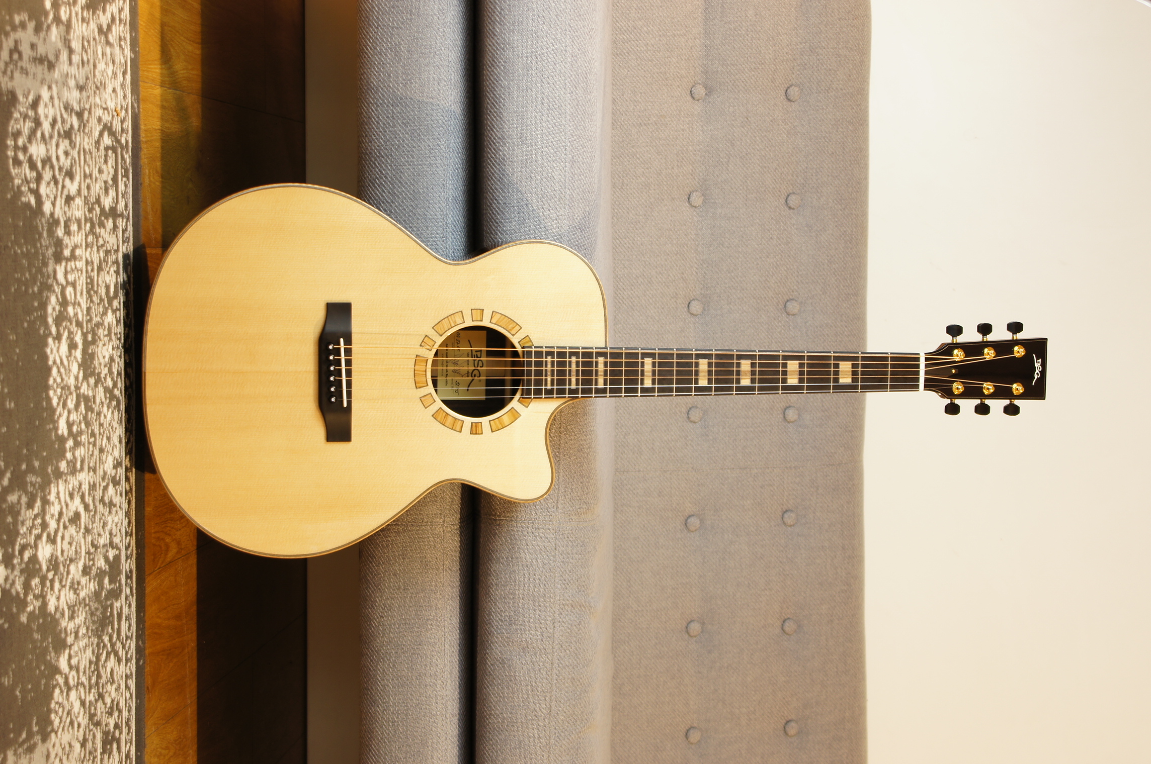 BSG GA 27 CF - Palisander / Fichte