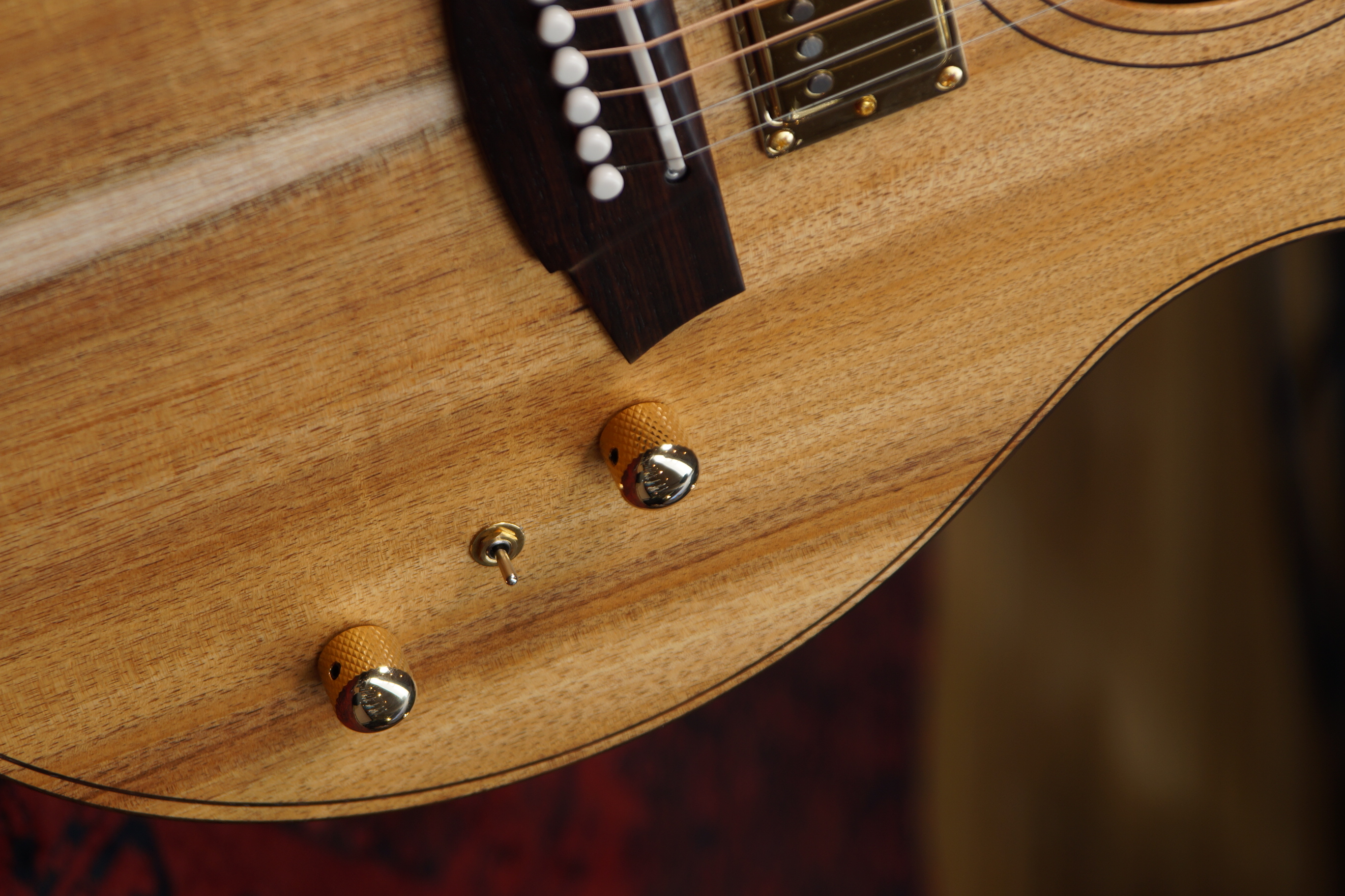 Cole Clark True Hybrid - AN2EC-BLBL-R-HUM