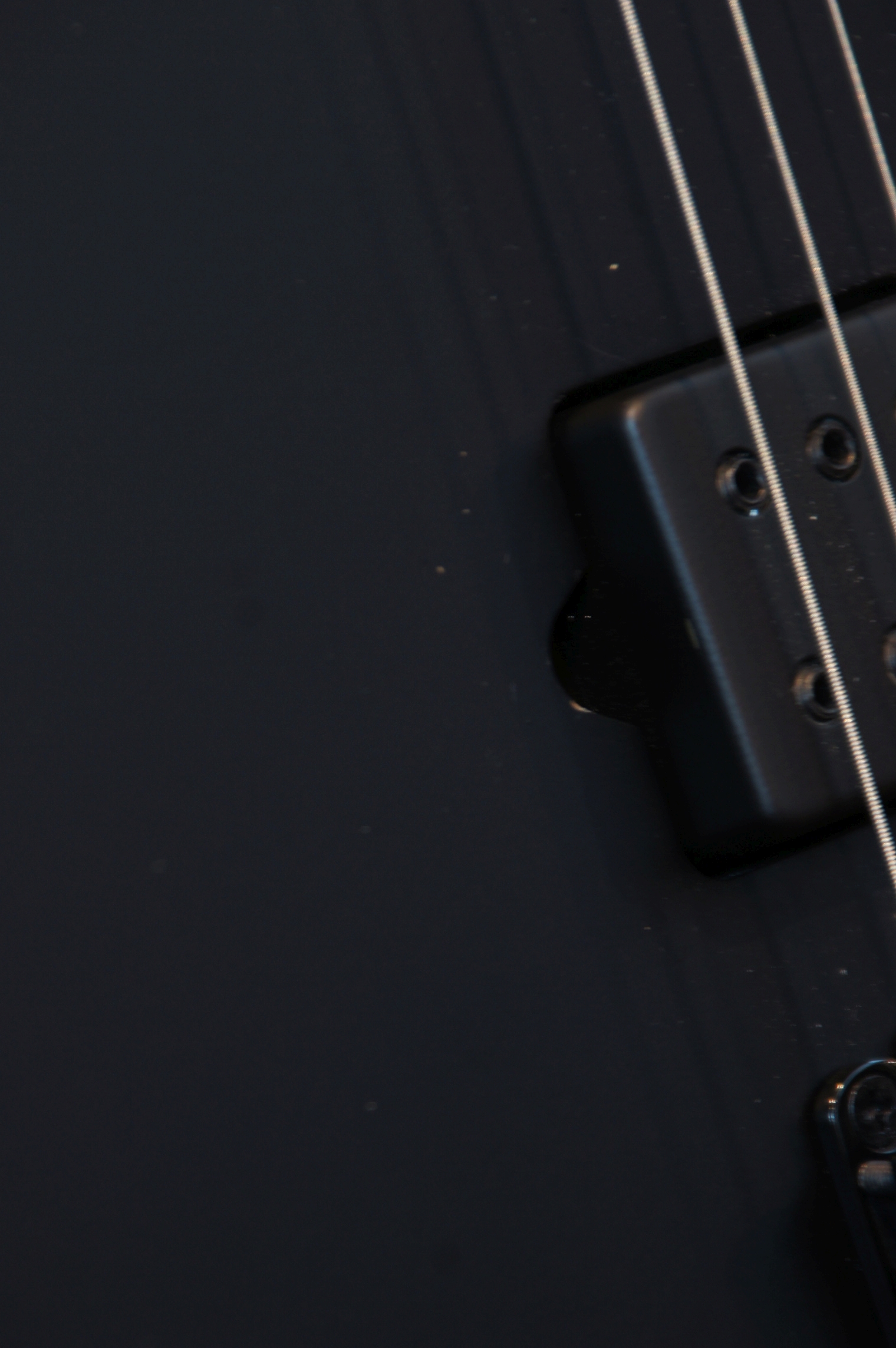 IBANEZ Iron Label RGRT 6-Str Black Flat - B-Stock