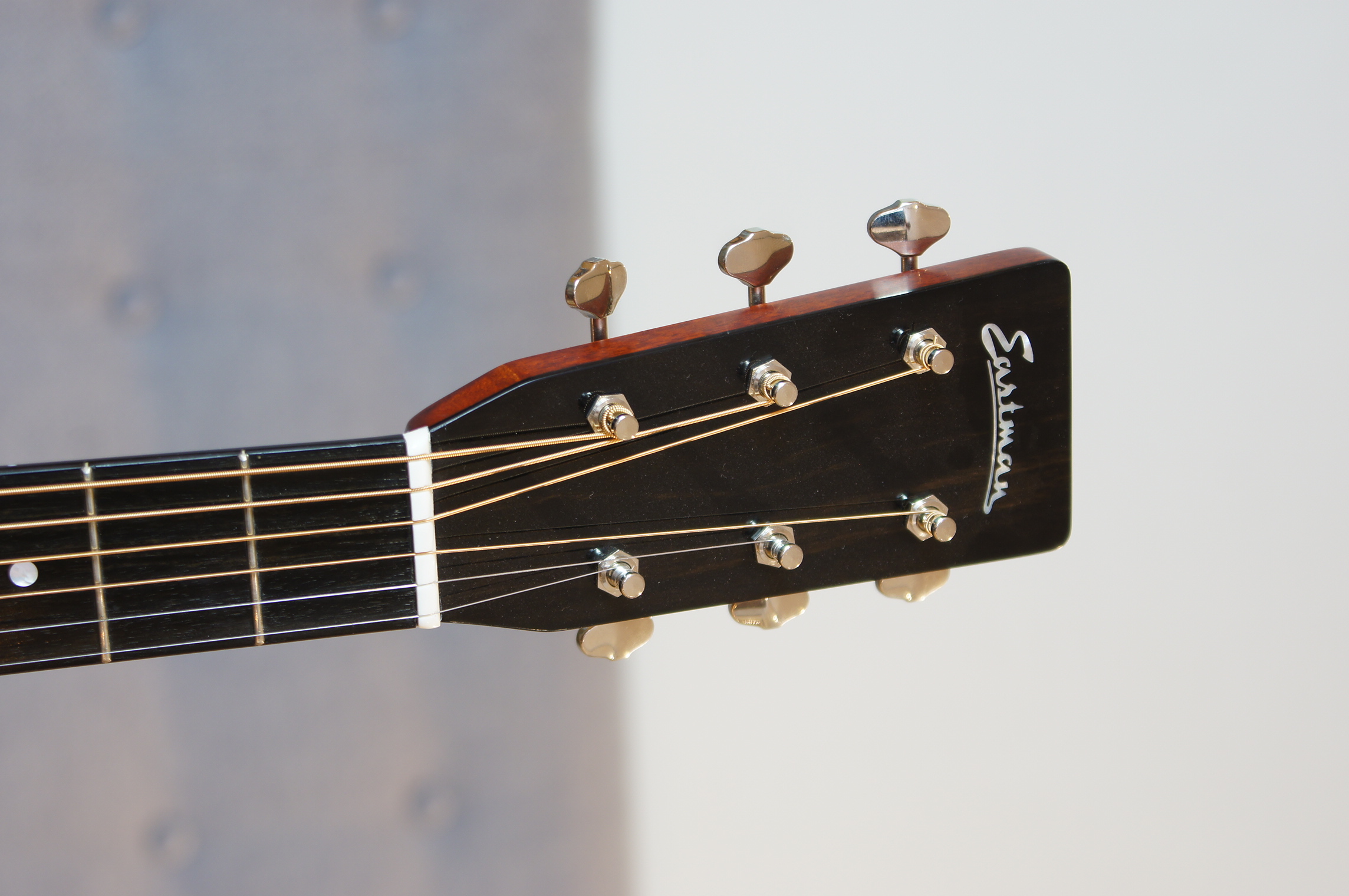 Eastman E10 OM inklusive Koffer