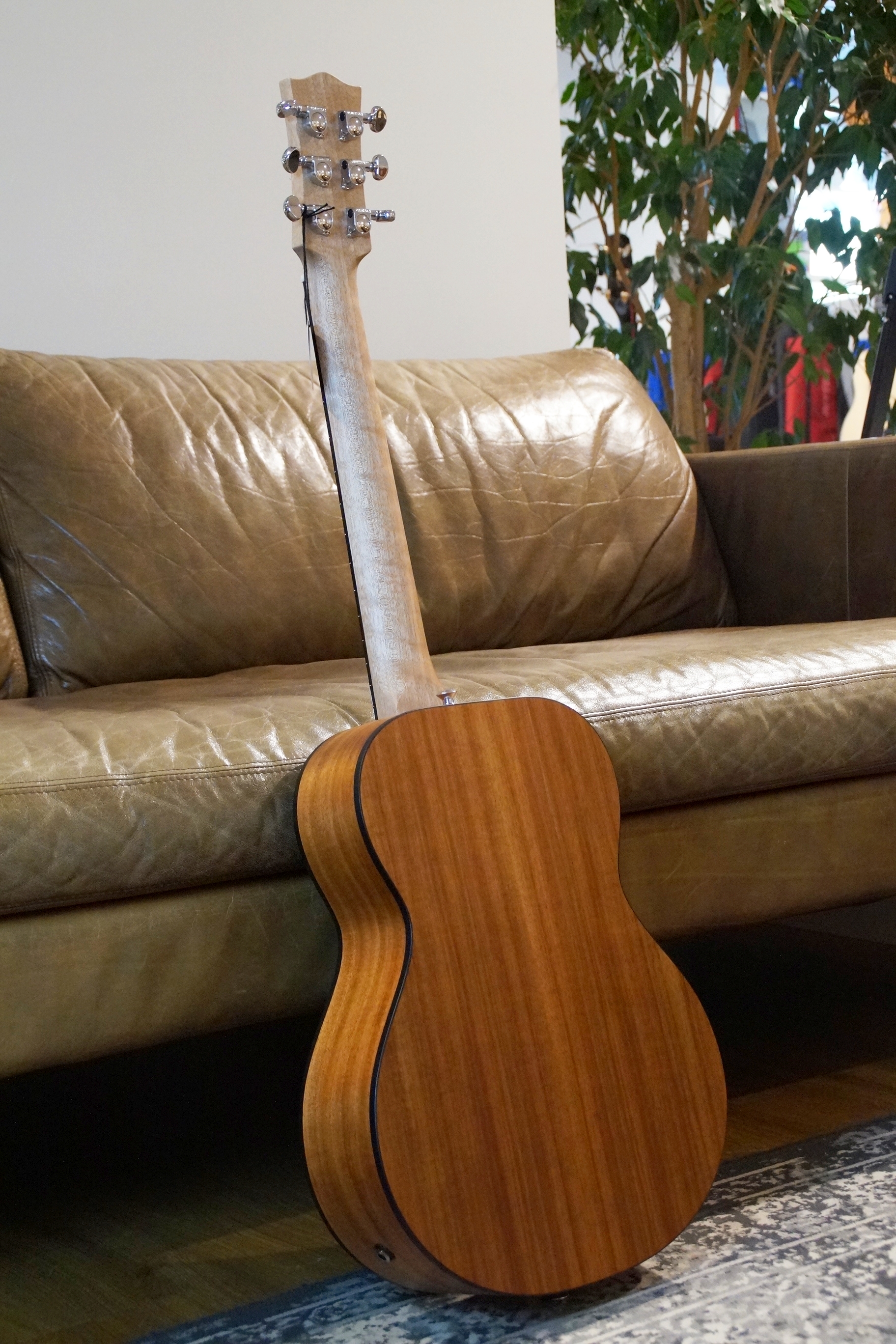 Maton EMBW 6 Mini