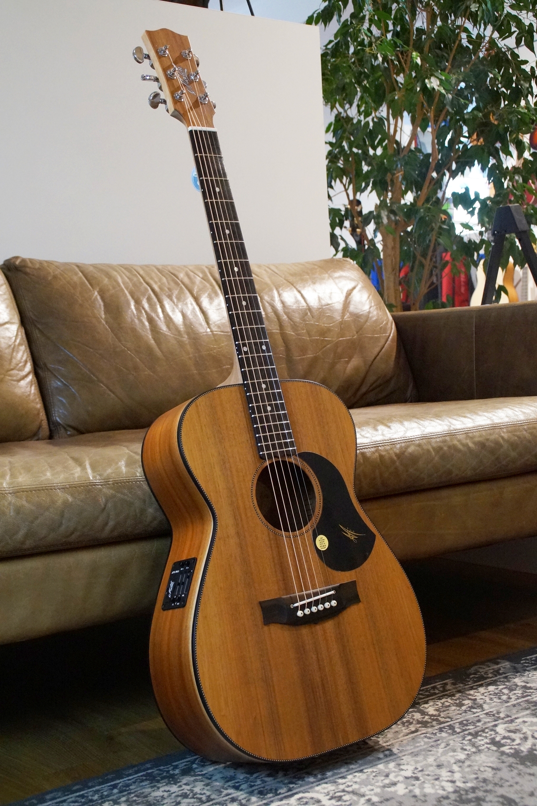Maton EBW 808