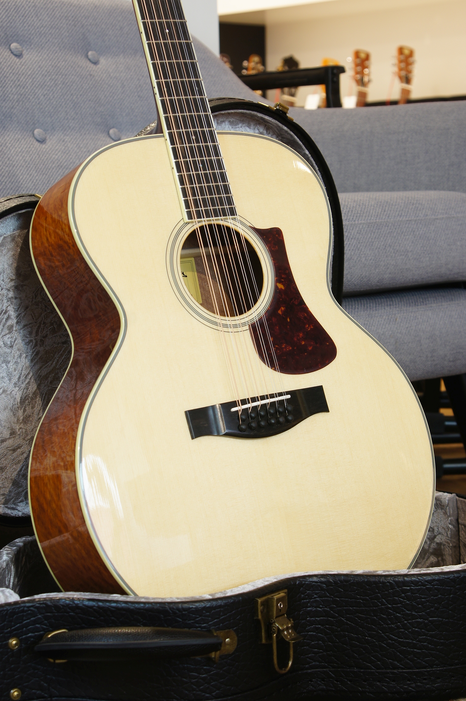 Eastman AC330E-12 12-String mit Tonabnehmer & Koffer