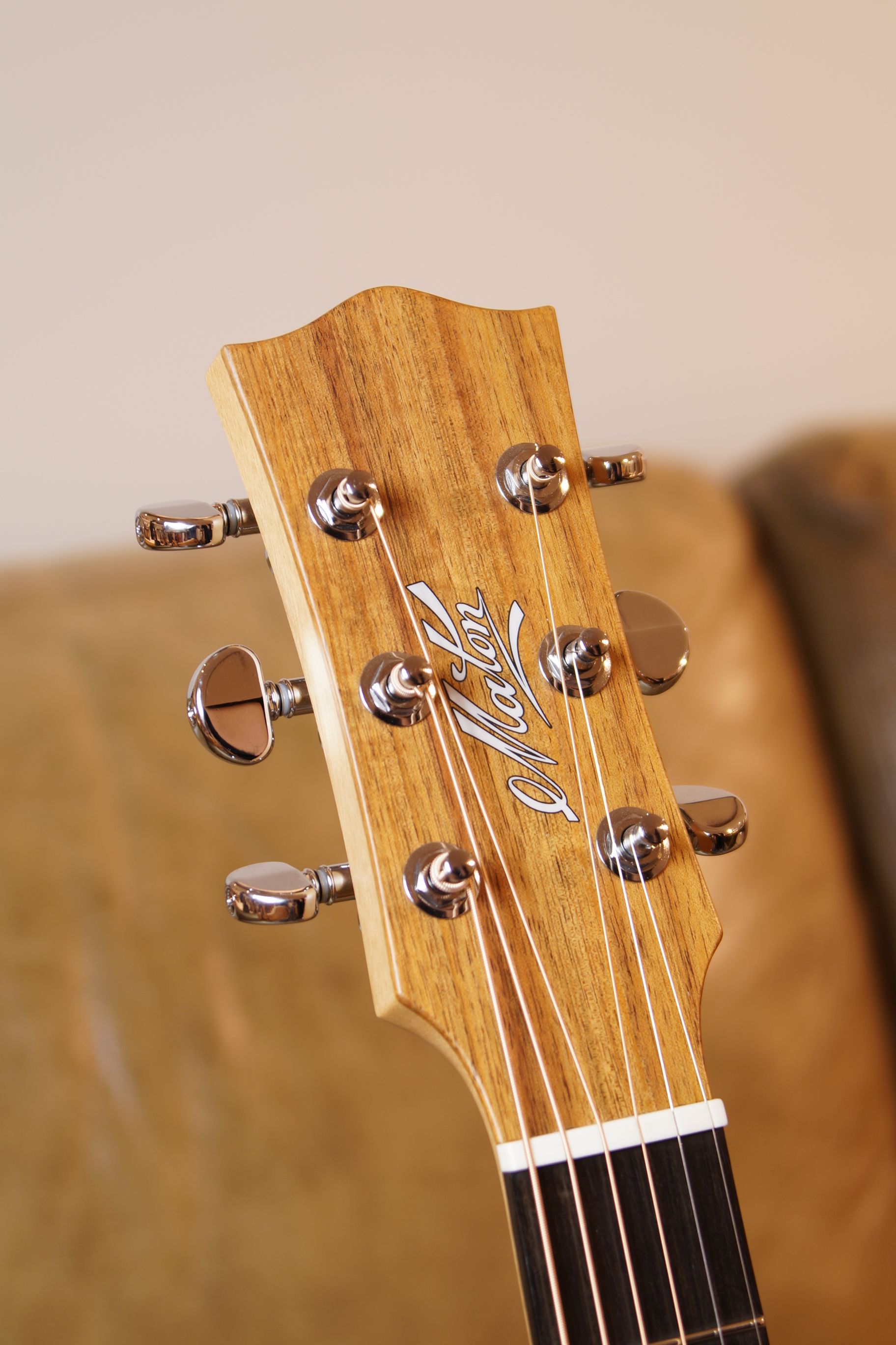 Maton EBW 808