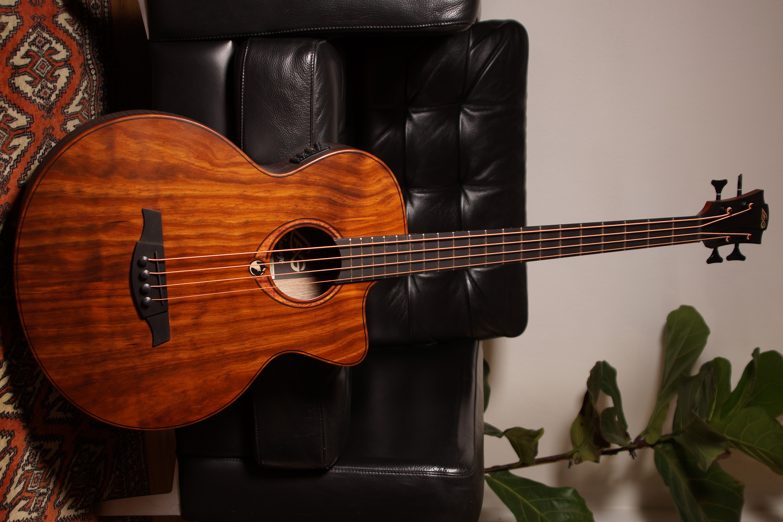 LAG SAUVAGE-BCE Accoustic Bass mit Gig Bag