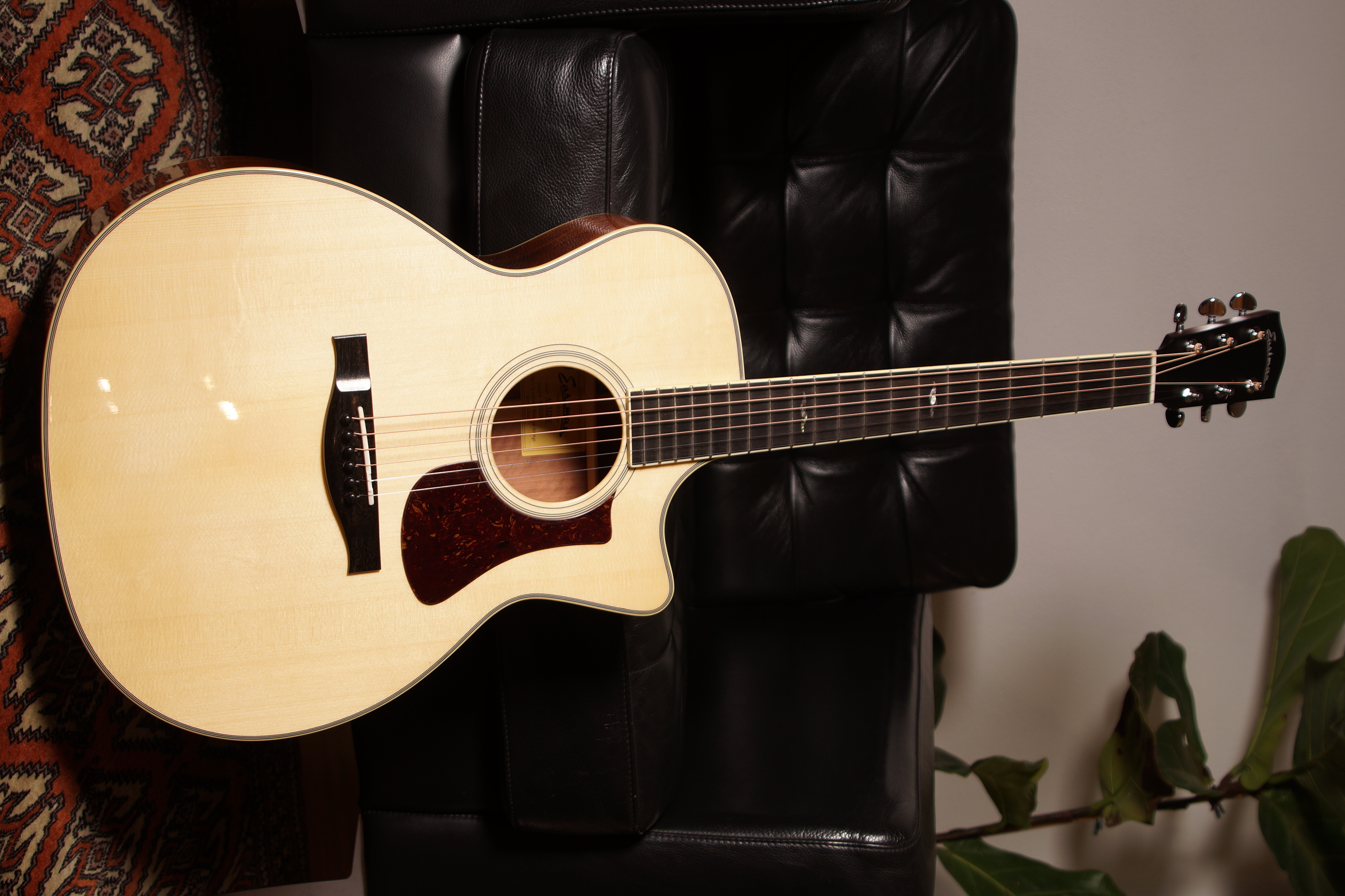 Eastman AC322CE mit Tonabnehmer und Koffer