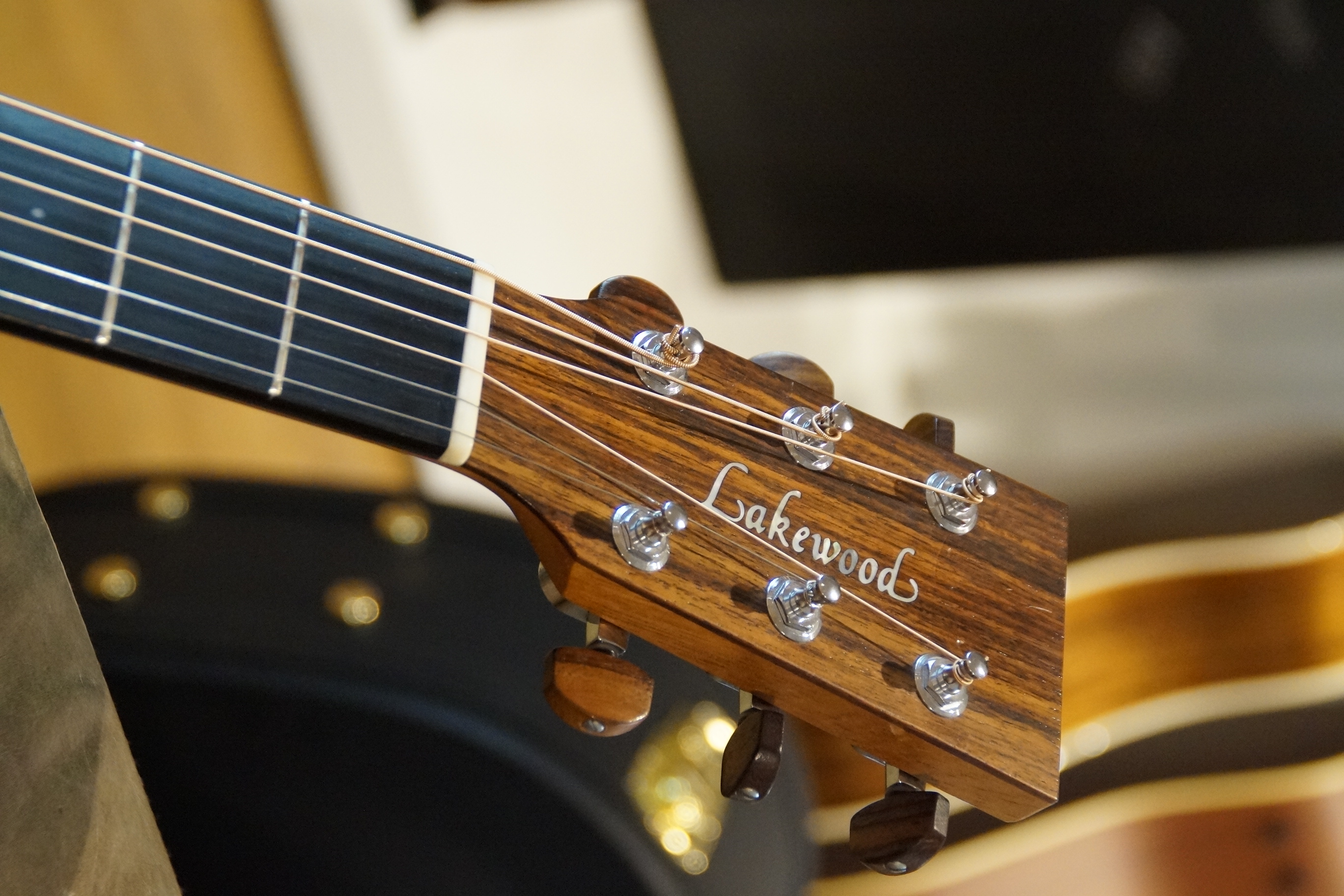 Lakewood M 14 Custom mit PU und Koffer - gebraucht